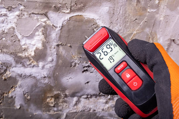 Best Mold Testing and Inspection Services in Santa Rosa Valley, CA