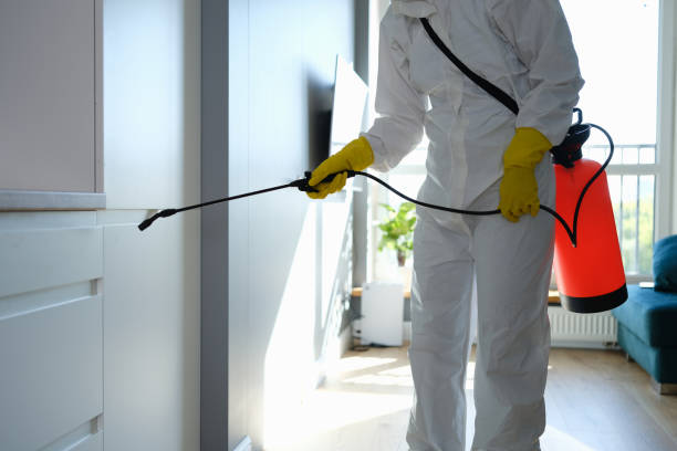 Best Residential Mold Remediation in Santa Rosa Valley, CA